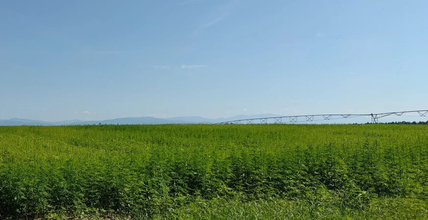 1500_img20230615110956.jpg