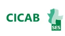 9-cicab.png