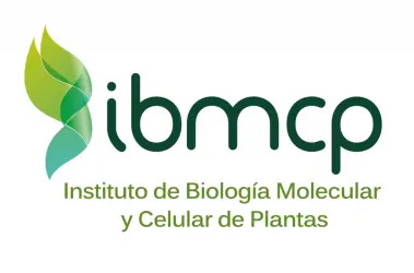 ibmcp.png